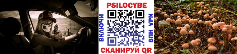 наркота  Лаишево  Галлюциногенные грибы прущие грибы 